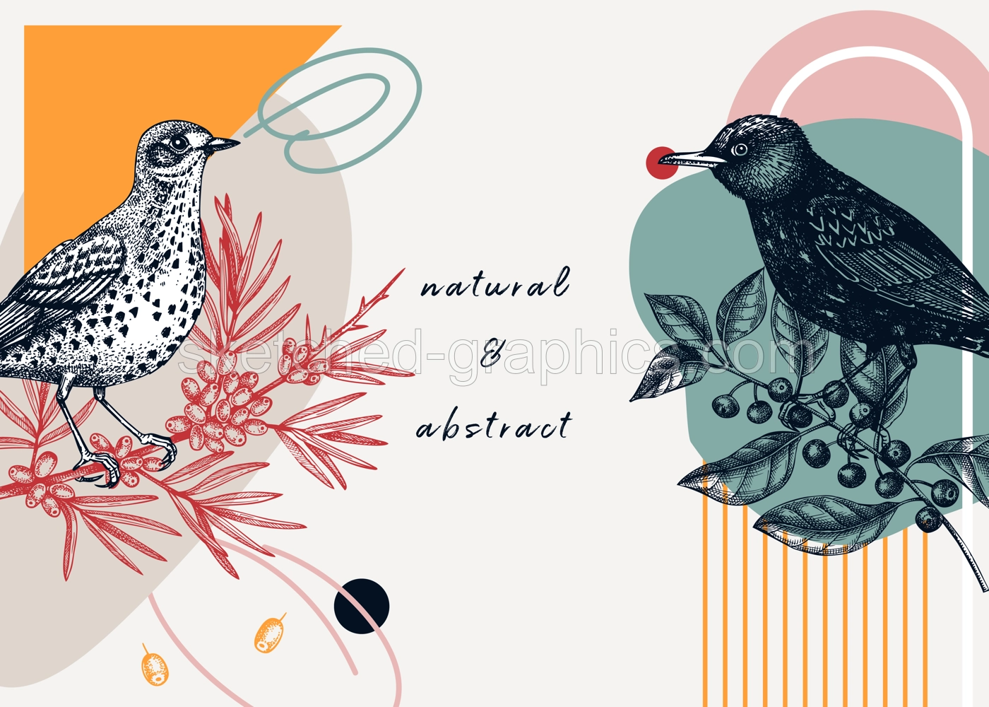 Collage style bird background. Sketched bird trendy frame. Creative background with botanical illustration, geometric shapes, and abstract elements. Perfect for print, wall art, packaging Illustration
